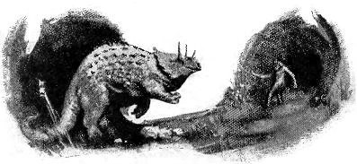 Белые дьяволы - i_019.jpg