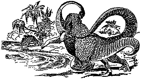 Белые дьяволы - i_020.png