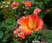  Юдичева Нина - Молитва женщины (СИ)