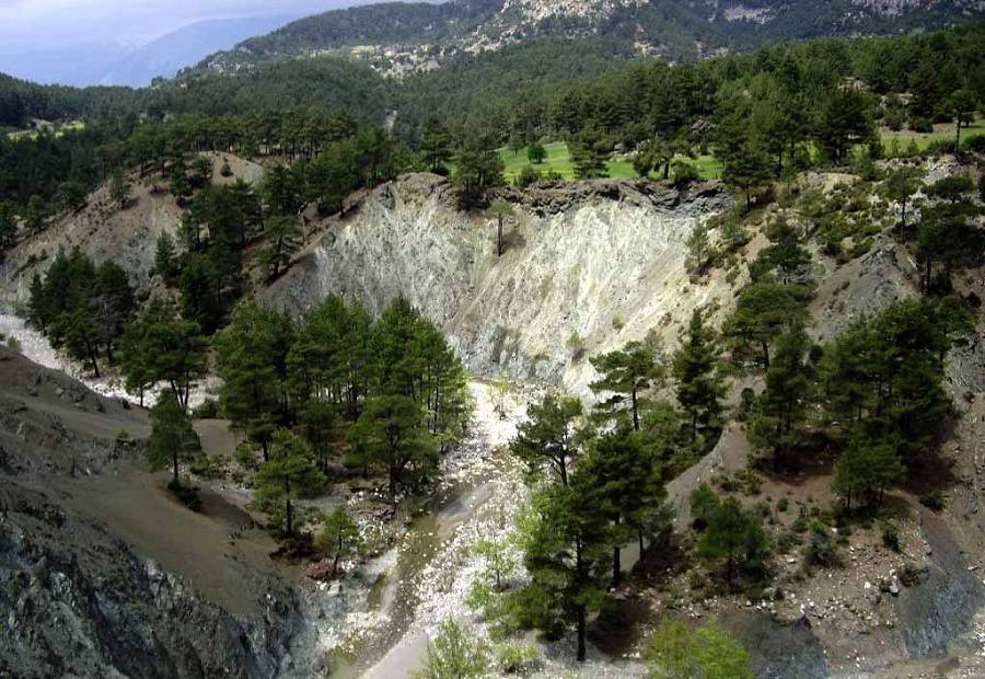 Терновый венок надежды (СИ) - _1.jpg