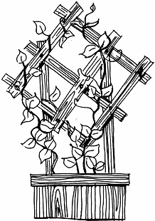 Ваш миниатюрный сад своими руками - _12.png