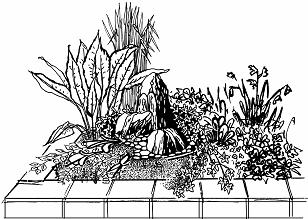 Ваш миниатюрный сад своими руками - _13.png