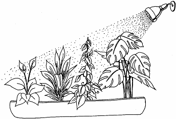 Все об уходе за миниатюрным деревом - _77.png