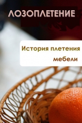  Мельников Илья - История плетения мебели