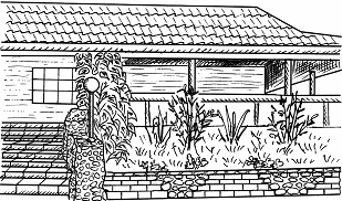 Цветники на дачном участке - _02.png