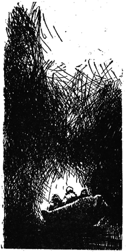 Тихоокеанские румбы - pic4.png