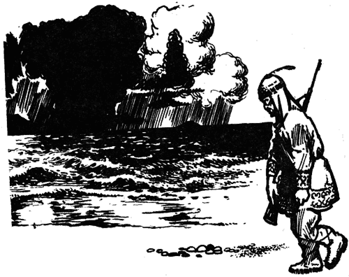 Тихоокеанские румбы - pic7.png