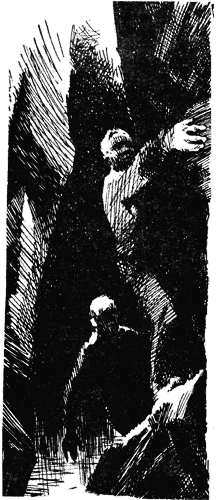 Тихоокеанские румбы - pic8.png