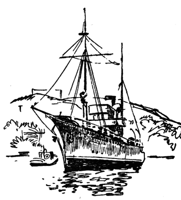 Тихоокеанские румбы - pic18.png