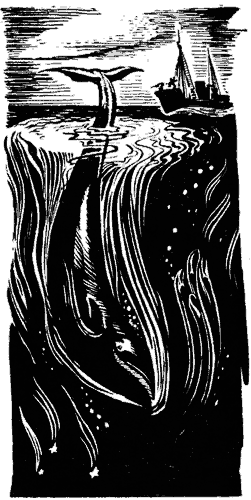 Тихоокеанские румбы - pic9.png