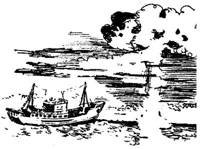 Тихоокеанские румбы - pic33.png