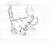 Рилла из Инглсайда - i_007.jpg