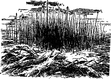 Гость из Космоса - pic_22.png