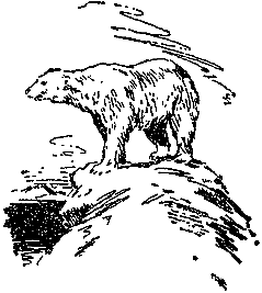 Гость из Космоса - pic_27.png