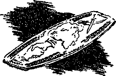 Гость из Космоса - pic_41.png