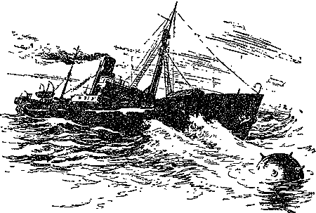 Гость из Космоса - pic_45.png