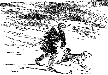 Гость из Космоса - pic_49.png