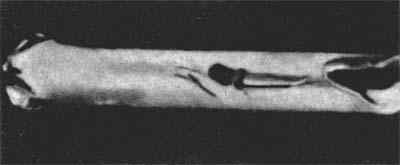 Звездные пришельцы - zpfot02_.jpg