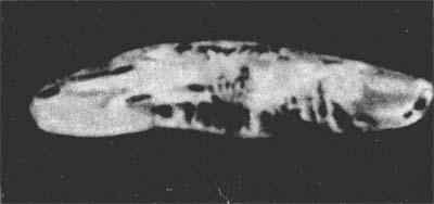 Звездные пришельцы - zpfot03_.jpg