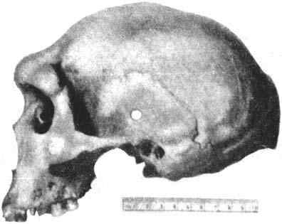 Звездные пришельцы - zpfot04_.jpg