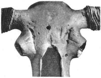 Звездные пришельцы - zpfot05_.jpg