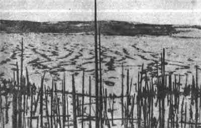 Звездные пришельцы - zpfot22a_.jpg