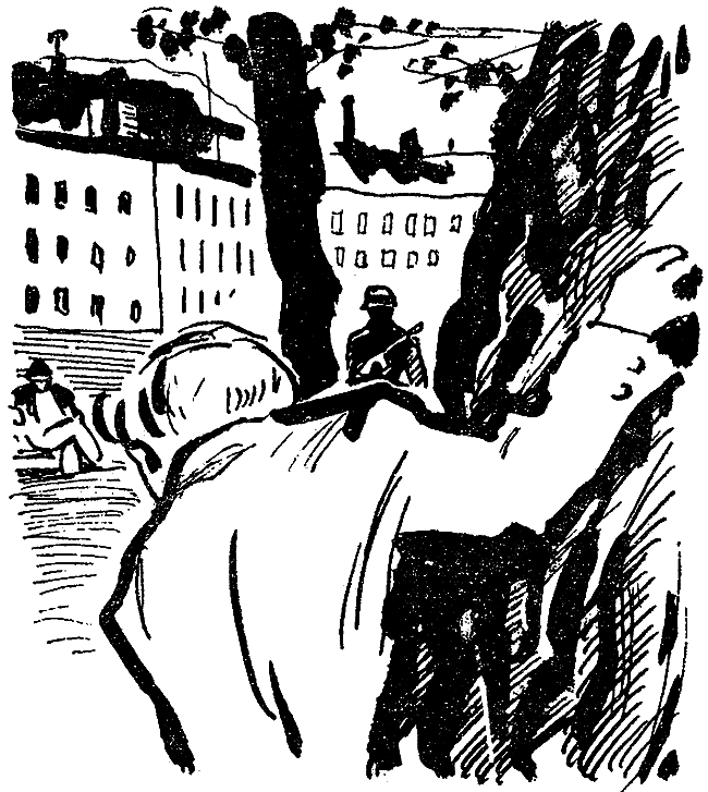 Искатель. 1973. Выпуск №3 - i_009.png