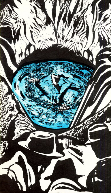 Искатель. 1988. Выпуск №6 - i_005.jpg