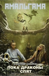Пока драконы спят - автор Шакилов Александр 