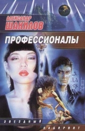 Профессионалы - автор Шакилов Александр 