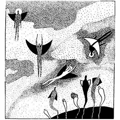 Я знаю, що ти знаєш, що я знаю - _11.jpg