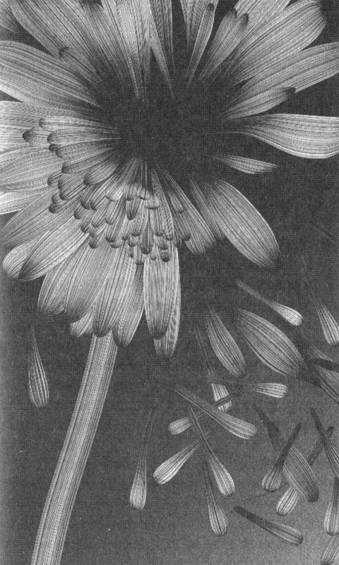 Почему я прыгаю - i_001.jpg