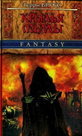 Крылья Тьмы - автор Брукс Терри 