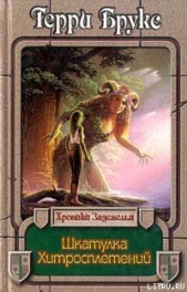 Шкатулка хитросплетений - автор Брукс Терри 