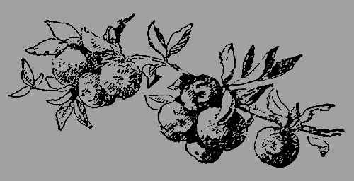 Звездочка - i_033.png