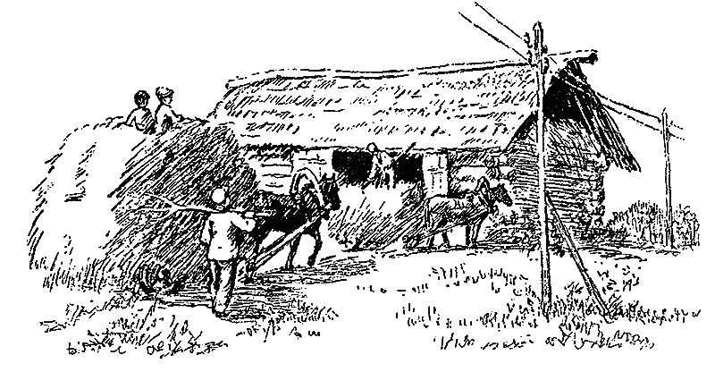 Звездочка - i_035.png