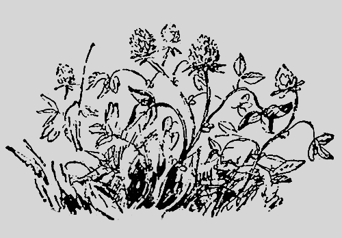 Звездочка - i_036.png