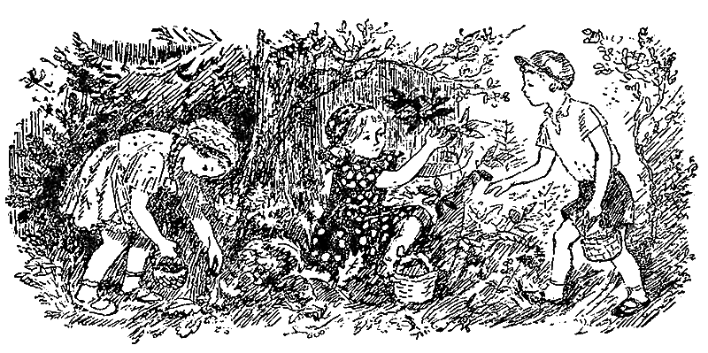 Звездочка - i_037.png