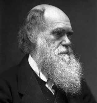 Лжепророки последних времён. Дарвинизм и наука как религия - _071.jpg