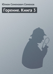 Горение. Книга 4 - автор Семенов Юлиан 
