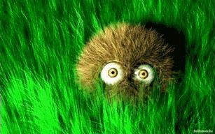 Когда прилетит эсхатудра - Image998.jpg