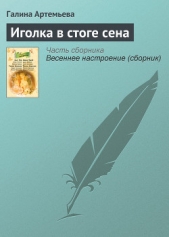 Иголка в стоге сена - автор Артемьева Галина Марковна 