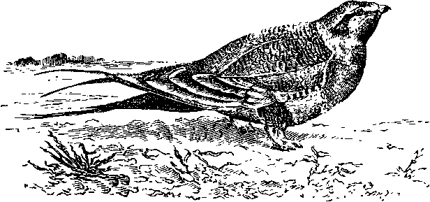 Григорий Николаевич Потанин. Жизнь и деятельность - i_004.png