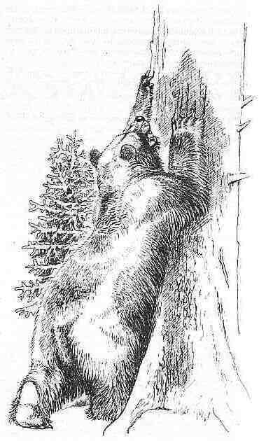 Полосатый Эргени (сборник) - _24.jpg