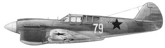 Асы и пропаганда. Дутые победы Люфтваффе - i_027.jpg