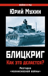 Жертвы Блицкрига. Как избежать трагедии 1941 года? - автор Мухин Юрий Игнатьевич 