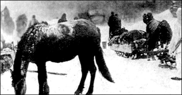 «Крестовый поход на Восток». Гитлеровская Европа против России - _0112.jpg