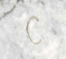 Лунная афера США - i_84.jpg