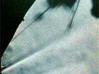 Лунная афера США - i_86.jpg