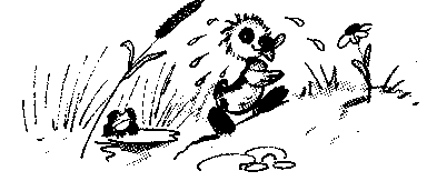 Знаменитый утенок Тим - image13.png